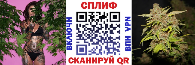 Где продают наркотики Емва A-PVP  МЕГА как зайти  ГАШИШ  Мефедрон  Бошки Шишки  КОКАИН 