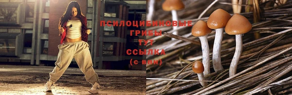 соль ск Горно-Алтайск