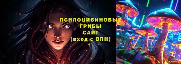 ешки Горнозаводск